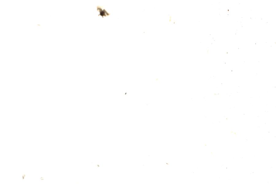 Image 92